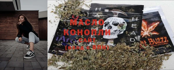 дживик Верхний Тагил