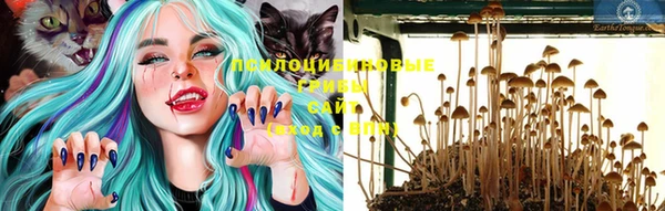 дживик Верхний Тагил