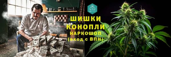 дживик Верхний Тагил