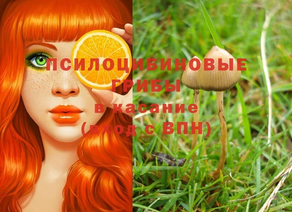 таблы Верея