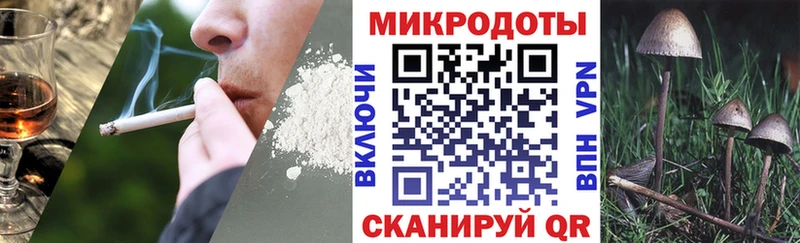 Галлюциногенные грибы Psilocybe  hydra ссылка  Вяземский 